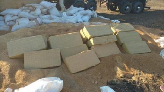 Conquista: Polícia Civil apreende uma tonelada de maconha escondida em sacos de adubo