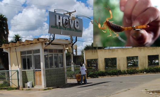 Jovem de 22 anos morre no HGVC após picada de escorpião em Barra do Choça