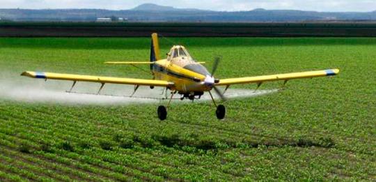 Brasil é o maior consumidor de produtos com agrotóxicos do mundo