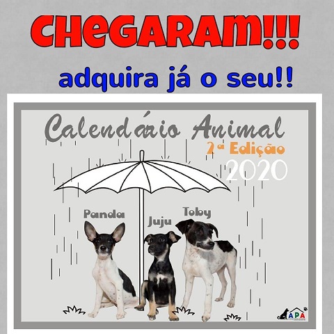 LIVRAMENTO: ASSOCIAÇÃO PROTETORA DOS ANIMAIS LANÇA O CALENDÁRIO APA 2020