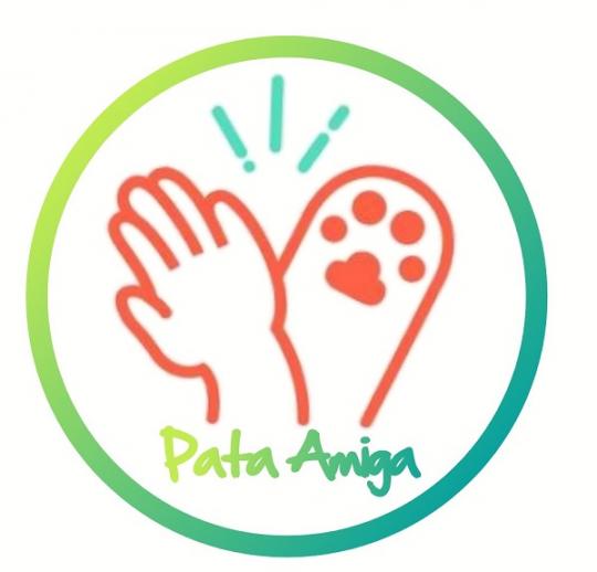 PARTICIPE DO PROJETO PATA AMIGA AJUDANDO NAS CASTRAÇÕES DE ANIMAIS DE RUA