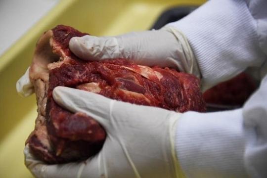Rússia proíbe a importação de carne bovina e suína do Brasil