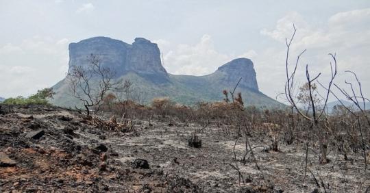 Bombeiros controlam fogo na Chapada Diamantina