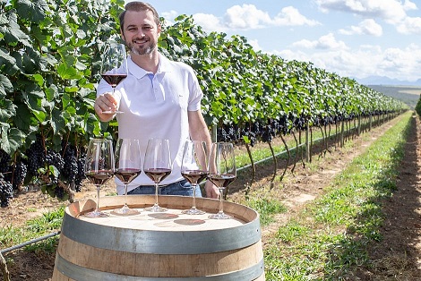 Produtor investe R$ 50 milhões para produzir vinho na Chapada