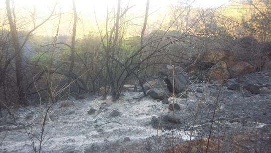 SERRA DAS ALMAS: INCÊNDIO PRÓXIMO AO BALNEÁRIO MUNICIPAL DE LIVRAMENTO DEIXA POPULAÇÃO EM ALERTA