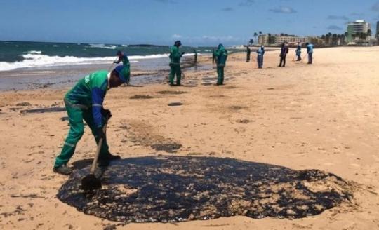 Mais de 525 toneladas de resíduos foram retiradas de praias com óleo