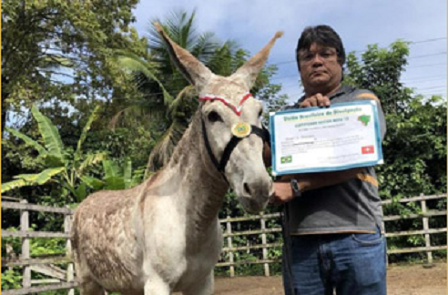 Jegue é premiado com o mesmo  título dado a Ricardinho Ribeiro