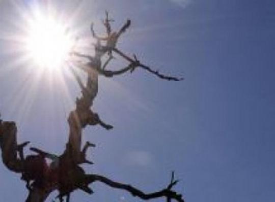 Semana será de calor e seca no Nordeste e em outras três regiões do Brasil, alerta Inmet