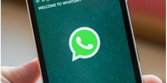 WhatsApp se diz decepcionado com bloqueio e recorre contra decisão