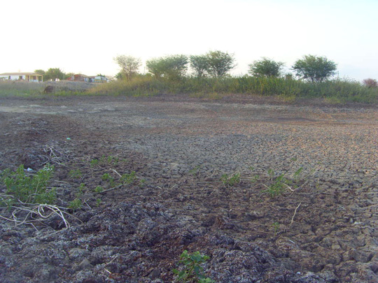 Brumado: Prefeitura declara situação de emergência devido à seca